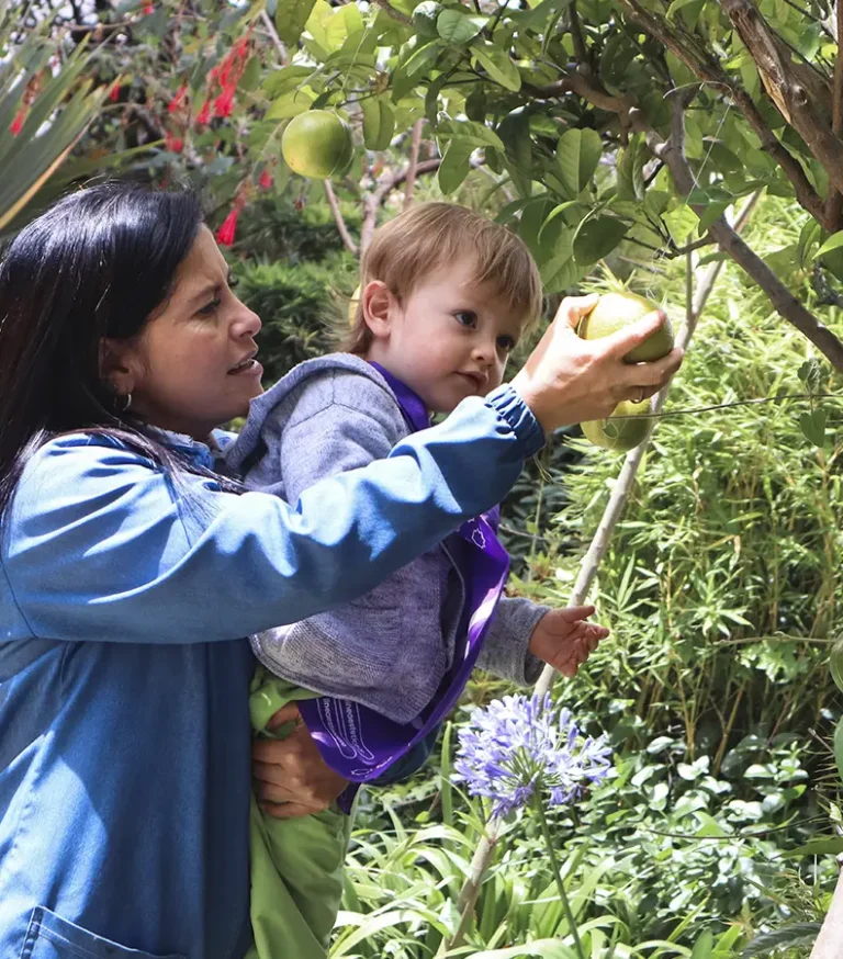 Mobile-Landing-Gal-3